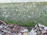 image of grave number 240902